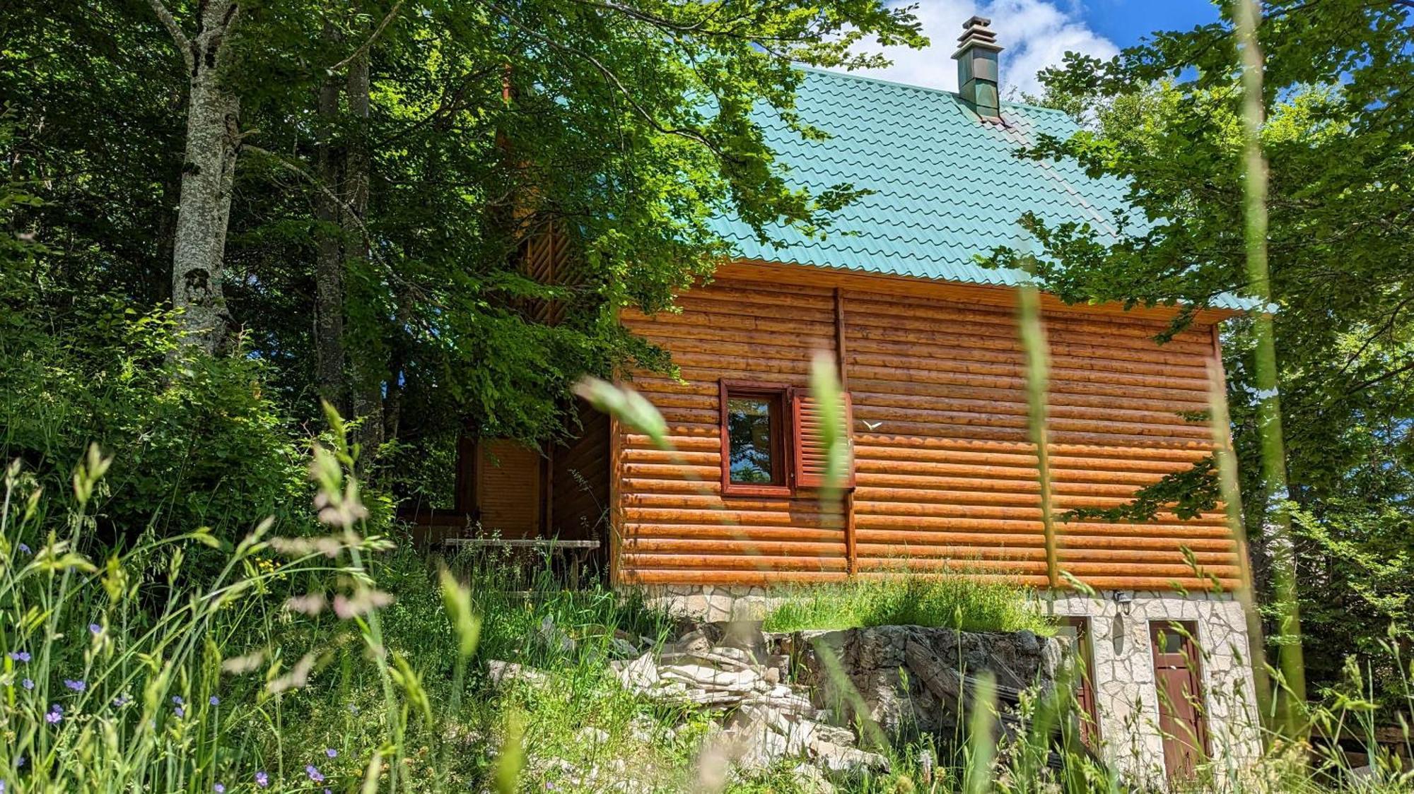 Apartments Nikcevic Zabljak Εξωτερικό φωτογραφία